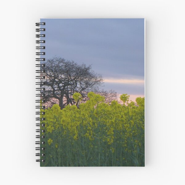 Item preview, Rapeseed and oak in evening light outside Ackworth, West Yorkshire designed and sold by Anna Myerscough.