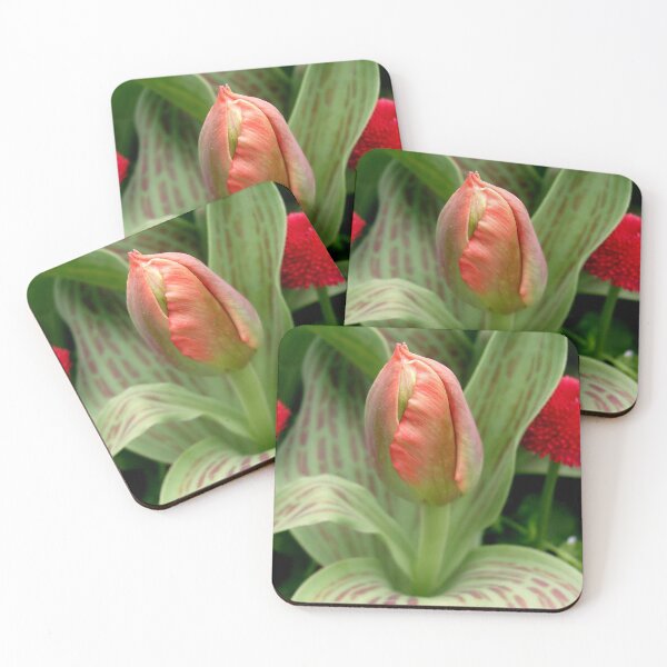 Item preview, Bud... designed and sold by Ana Belaj.
