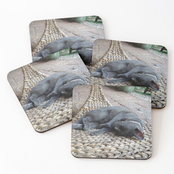 Item preview, Nap Time for a burmese cat designed and sold by cuisinecat2.