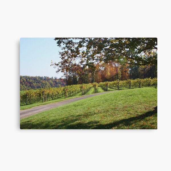 Item preview, GRAPE ARBOR IN OCTOBER designed and sold by Pauline Evans.