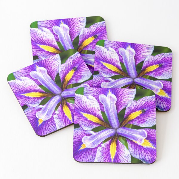 Item preview, Iris Heart designed and sold by Emma Parrish.