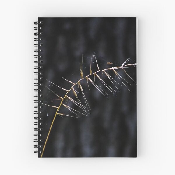 Item preview, Delicate designed and sold by Adam Bykowski.