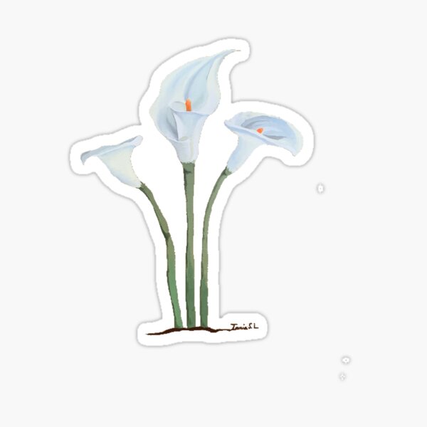 Cala lilies Sticker