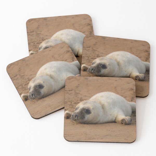 Item preview, Grey Seal Pup on the Beach designed and sold by Dan Newton.