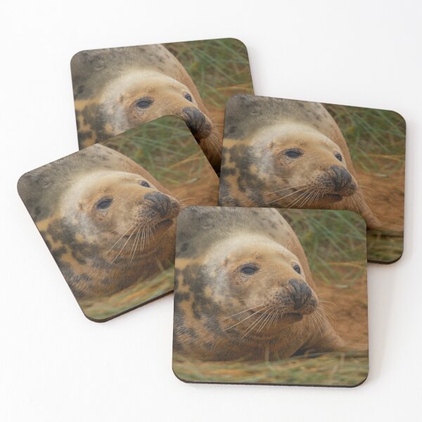 Item preview, Grey Seal on the Beach designed and sold by Dan Newton.