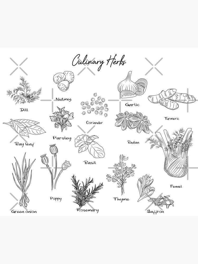 "Culinary Herb Chart" Tapestry for Sale by alexvoss Redbubble