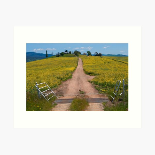 Item preview, Hilltop farmhouse near Khancoban designed and sold by Syd Winer.