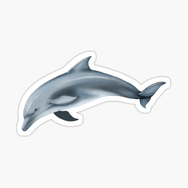 Item preview, Bottlenose dolphin designed and sold by botogabriel.
