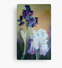 " Purple Irises" Canvas Print