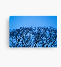 Tree Form / Growth Canvas Print
