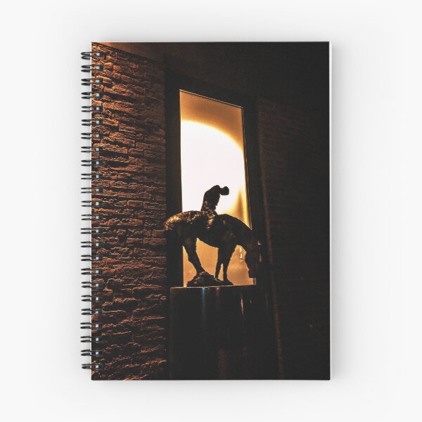 Item preview, Immolation - Photography designed and sold by Vivek Idris Goel.