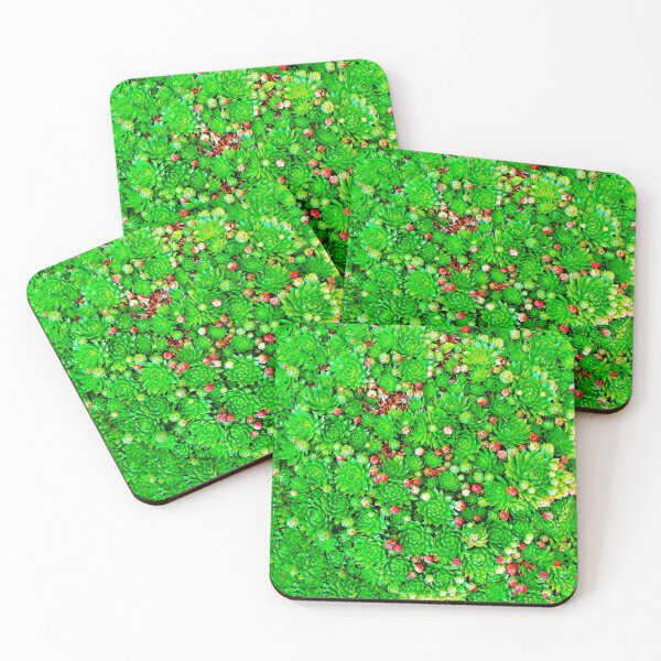Item preview, Houseleeks designed and sold by leobrix.