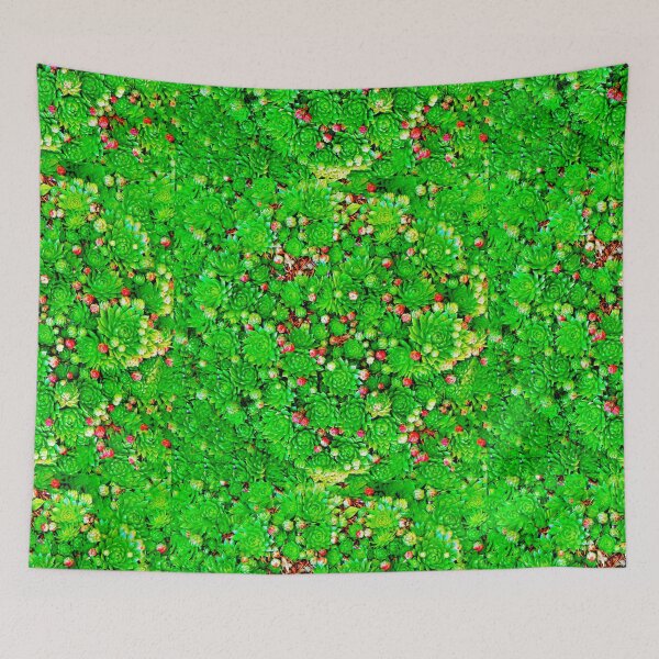 Item preview, Houseleeks designed and sold by leobrix.