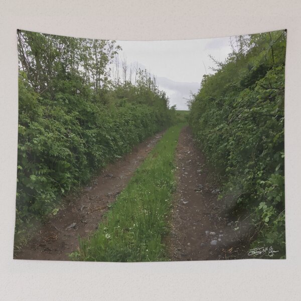Item preview, Irish Country Lane designed and sold by JJ McColgan.