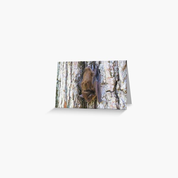 Little Brown Bat Note Card and Stickers Greeting Card