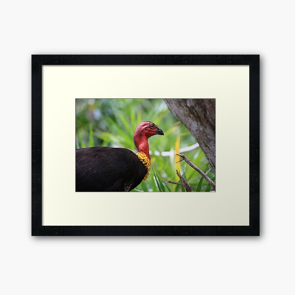Yikes! There's An Alien in the Birdfeeder! Framed Art Print