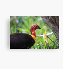 Yikes! There's An Alien in the Birdfeeder! Canvas Print