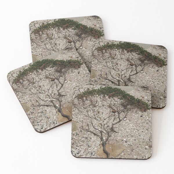 Item preview, Nature, Africa, South Africa, collage, photography, BebiCervin designed and sold by BebiCervin.