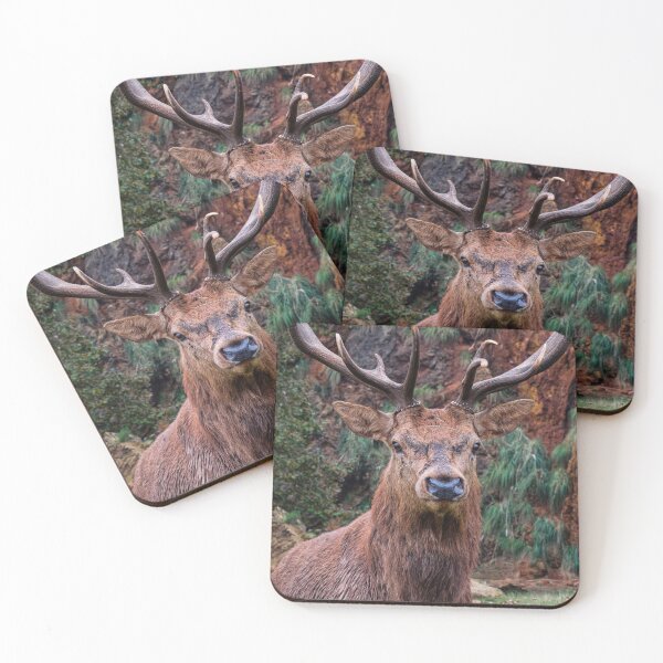 Item preview, Proud red deer designed and sold by wolfgangrainer.
