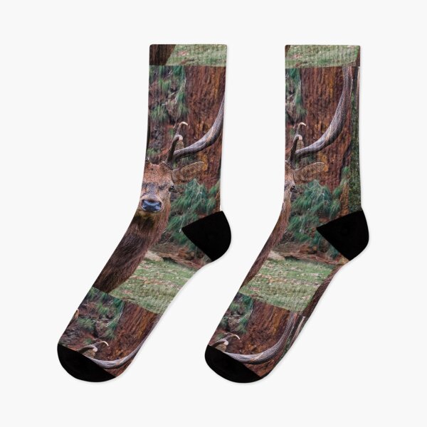 Item preview, Proud red deer designed and sold by wolfgangrainer.