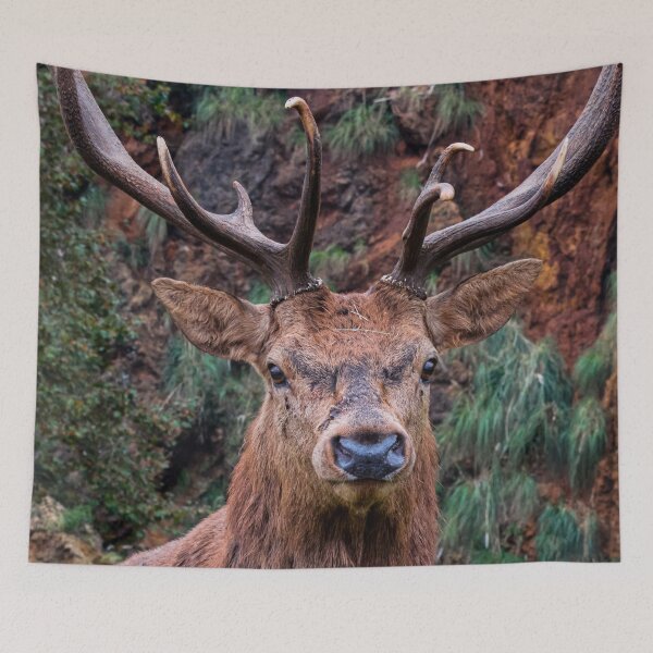 Item preview, Proud red deer designed and sold by wolfgangrainer.