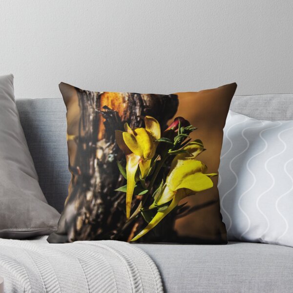 Item preview, Seeking Shelter designed and sold by WyoWanderer.