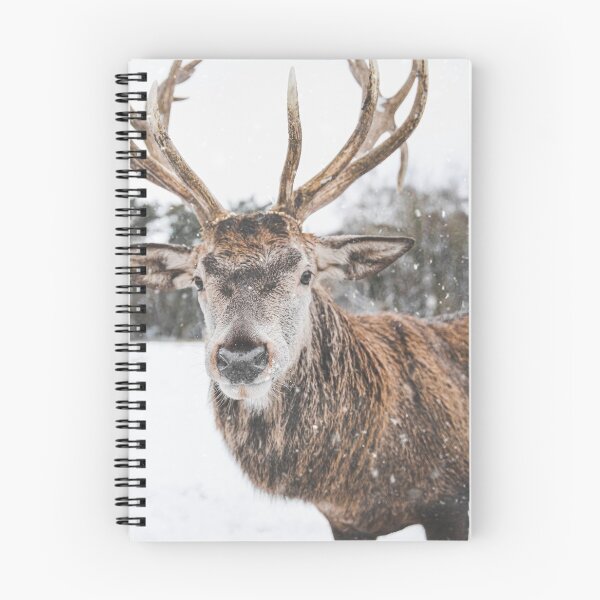 Item preview, Red deer in the snow designed and sold by wolfgangrainer.