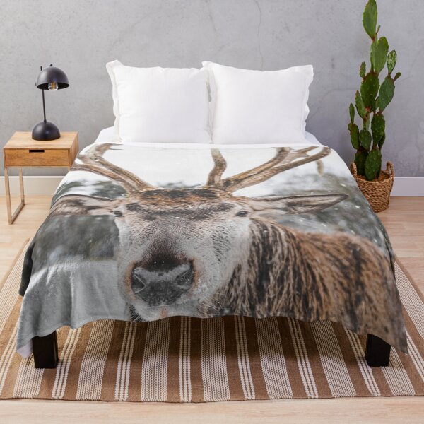 Item preview, Red deer in the snow designed and sold by wolfgangrainer.