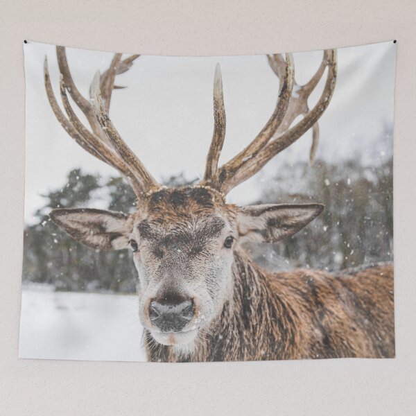 Item preview, Red deer in the snow designed and sold by wolfgangrainer.