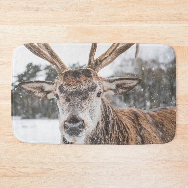 Item preview, Red deer in the snow designed and sold by wolfgangrainer.