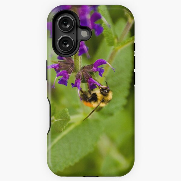 The Acrobat's Dinner iPhone Tough Case