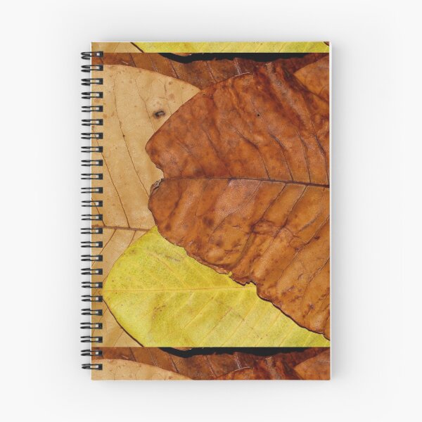 Item preview, The Kiss of Autumn designed and sold by Betty Mackey.
