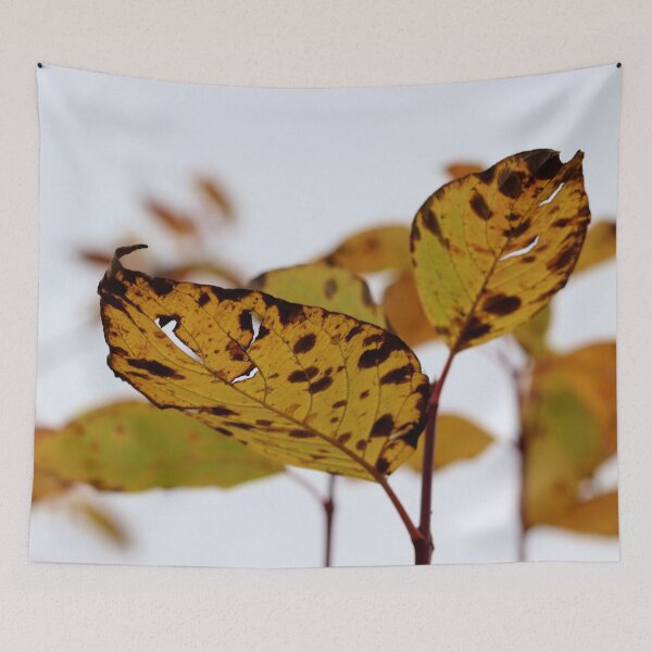Item preview, Designed to Leaf designed and sold by cuprum.