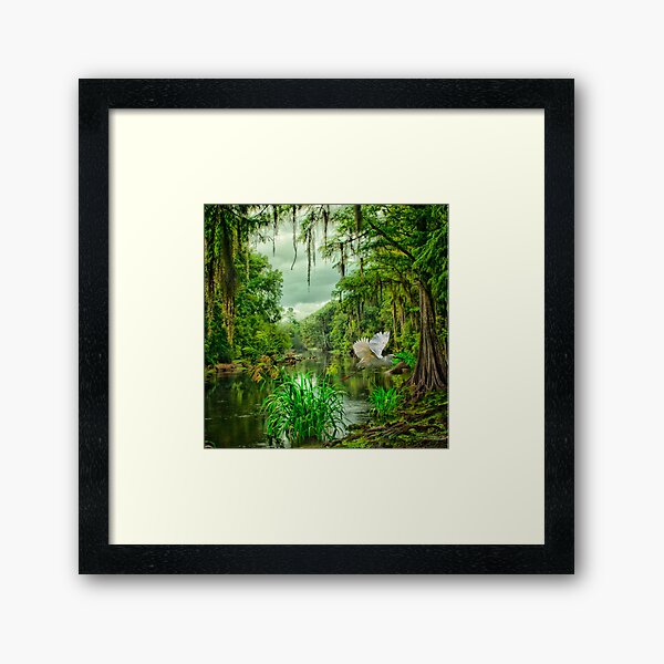 Item preview, Withlacoochee River Dreaming designed and sold by Miles Moody.