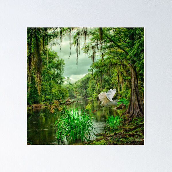 Item preview, Withlacoochee River Dreaming designed and sold by Miles Moody.