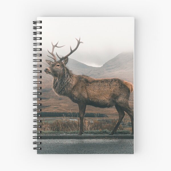 Item preview, Proud noble red deer designed and sold by wolfgangrainer.