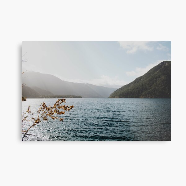 sunny lake Metal Print