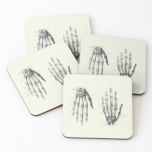 Item preview, Double Hand Skeletal Diagram - Vintage Anatomy Print 2 designed and sold by VAposters.