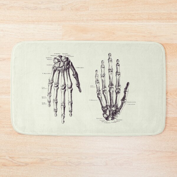 Item preview, Double Hand Skeletal Diagram - Vintage Anatomy Print 2 designed and sold by VAposters.