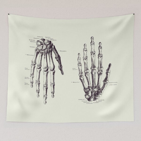 Item preview, Double Hand Skeletal Diagram - Vintage Anatomy Print 2 designed and sold by VAposters.