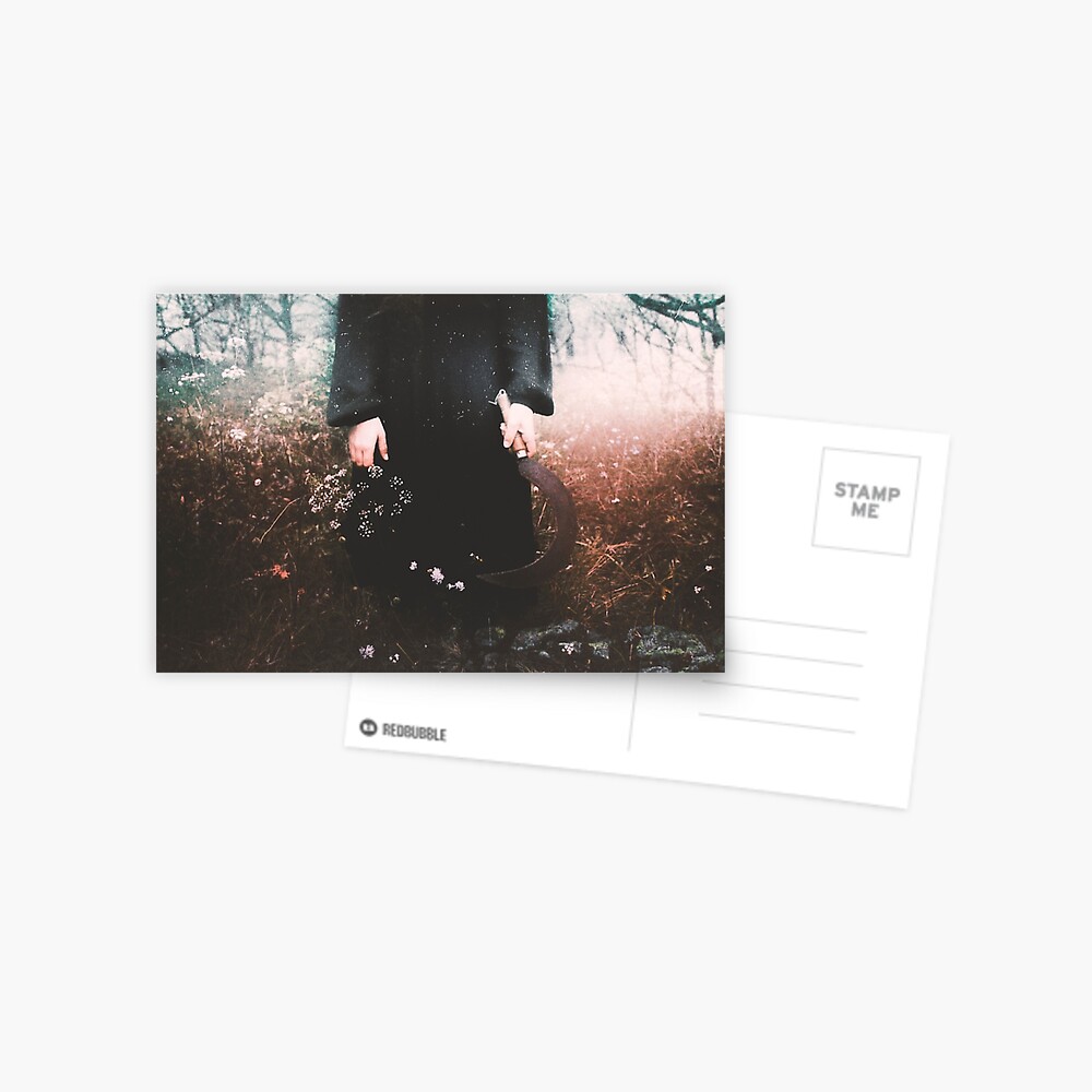 Les Limbes d'Automne Postcard