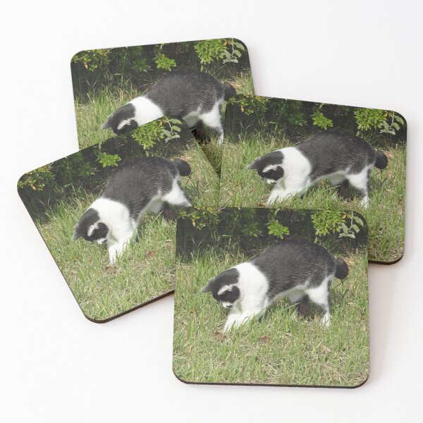 Item preview, gato de pelo corto atrapa un insecto designed and sold by cuisinecat2.