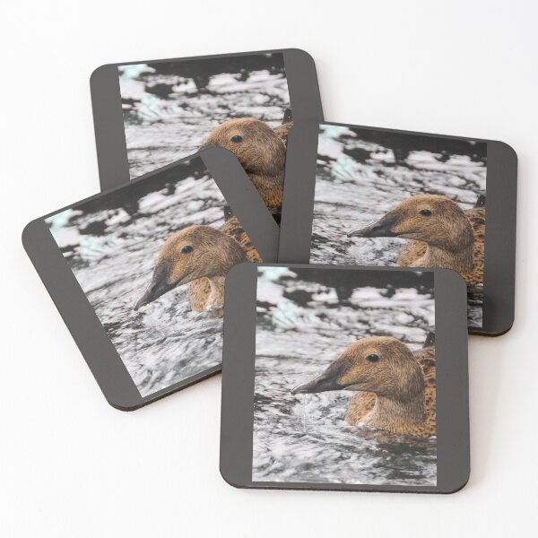Item preview, Eider in Alaska designed and sold by 2CrabbySisters.