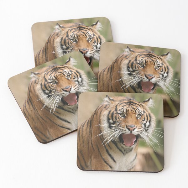 Item preview, Exotic Tiger designed and sold by MelKowasic.