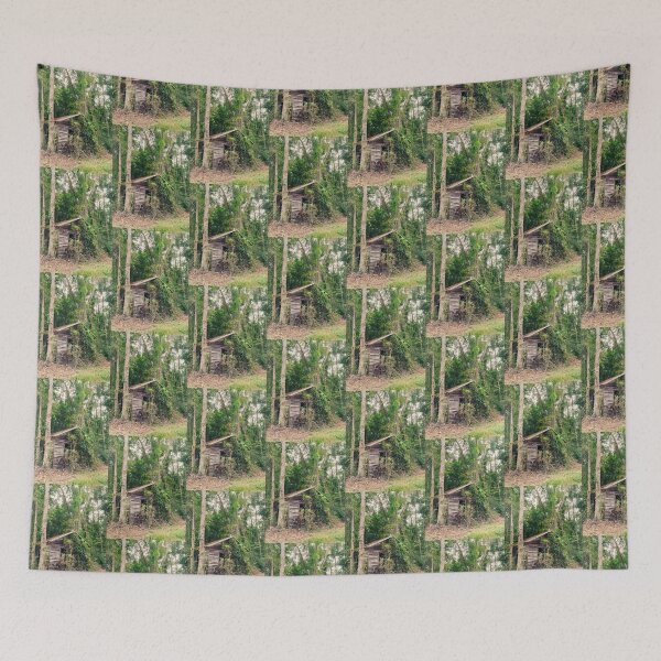 Item preview, Vanishing America -  Old Shack on Hilton Head Island, SC designed and sold by 2CrabbySisters.