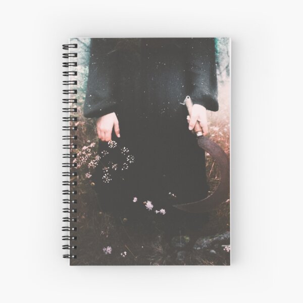 Les Limbes d'Automne Spiral Notebook
