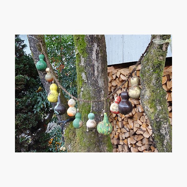 Item preview, A string of gourds designed and sold by cuisinecat2.