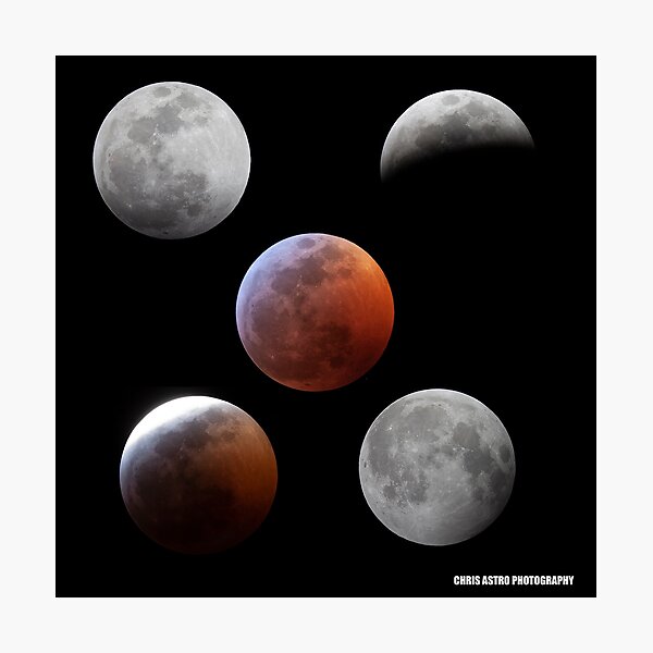 Lunar Eclipse Montage Photographic Print