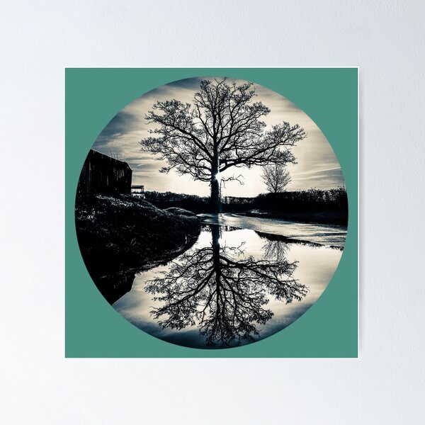 Item preview, Reflection - The Tree of Life designed and sold by Nature Embraced  Photography By Natasha Weyers.
