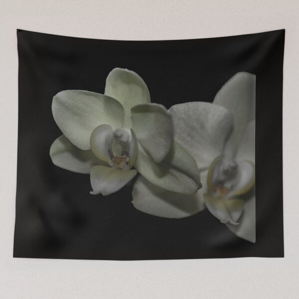 Item preview, Two White Orchids Square designed and sold by Bryan Spellman.